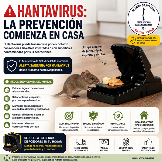 x5 TRAMPAS PARA RATONES