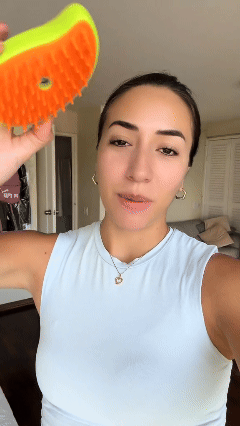 Cepillo vapor para mascota